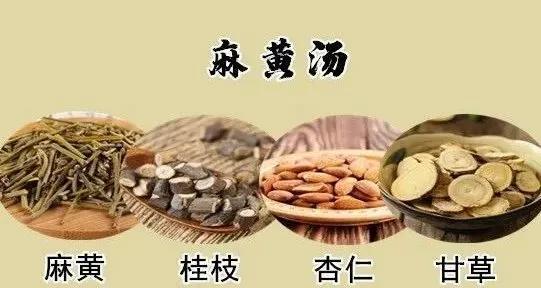 蜜麻黄是啥，蜜麻黄和麻黄一样吗（发散风寒常用药---麻黄）