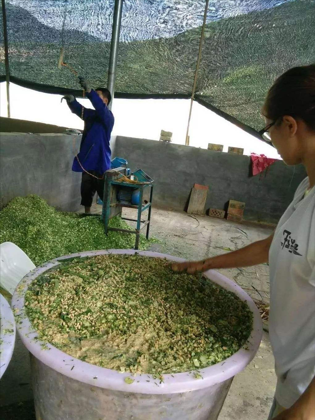 有机肥料制作方法，在家如何制作有机肥料（4种制作有机肥的方法）