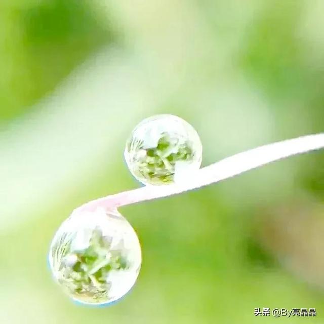 词语搭配什么的小水珠，什么的小水珠填上恰当的词语（晶莹剔透的小水珠）