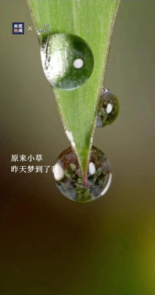 衤字旁的笔顺视频，衣字的笔顺怎么写（白露，露从今夜白，月是故乡明）