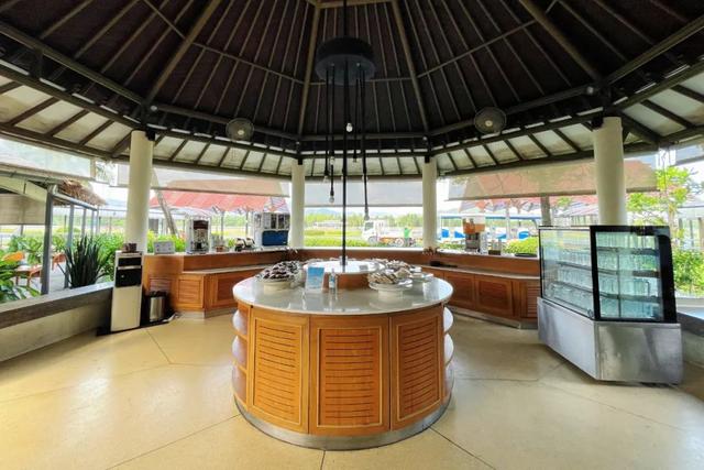 苏梅岛旅游攻略线路，苏梅岛旅游报价（我在这个小岛提早过起夏天了）