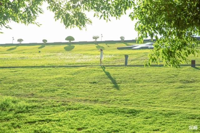 深圳一日游免费必去的地方，深圳最适合一日游的15个免费景点（深圳10个小众打卡地）