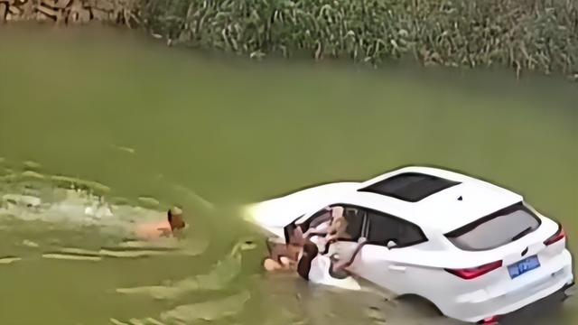 湖北高中老师被指猥亵，湖北高校老师不当言论（两名中学教师被指当街猥亵女子）