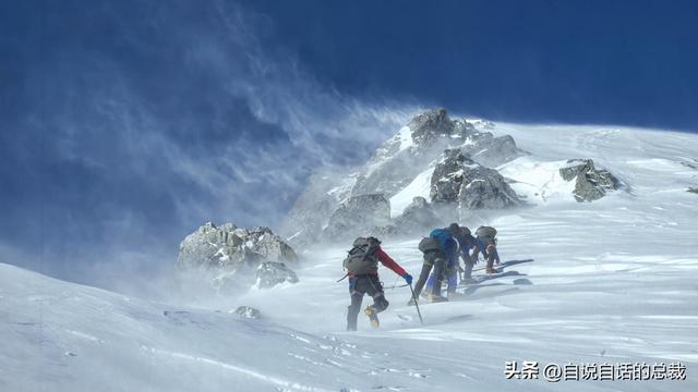 塔黄是什么植物，它被藏民预言为末日神山