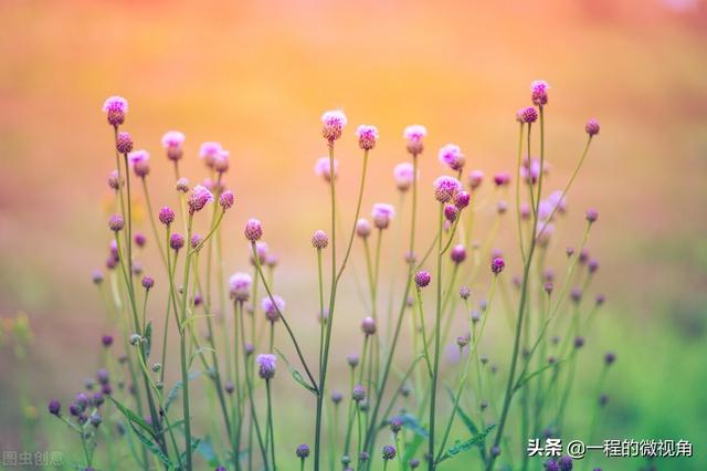 什么叫优越感，什么叫优越感理论（满屏溢满的优越感）