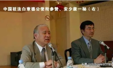 刘亦菲继父，刘亦菲继父命理分析及预测（幸运的刘亦菲：出道就演女主）