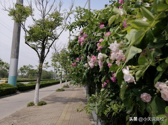 安徽建筑大学是一本还是二本，安徽建筑大学是一本吗（<理科>该怎么报呢）