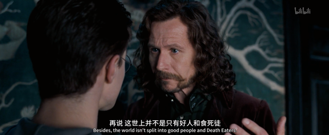 斯内普是好人还是坏人，《哈利波特》中斯内普是好的还是坏的（被嫌弃的斯内普的一生）