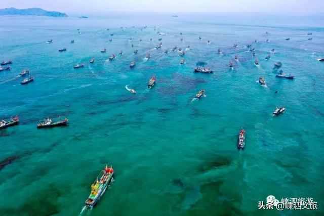 葱油黑鲷鱼做法，油炸鲷鱼做法（东海全面解禁）