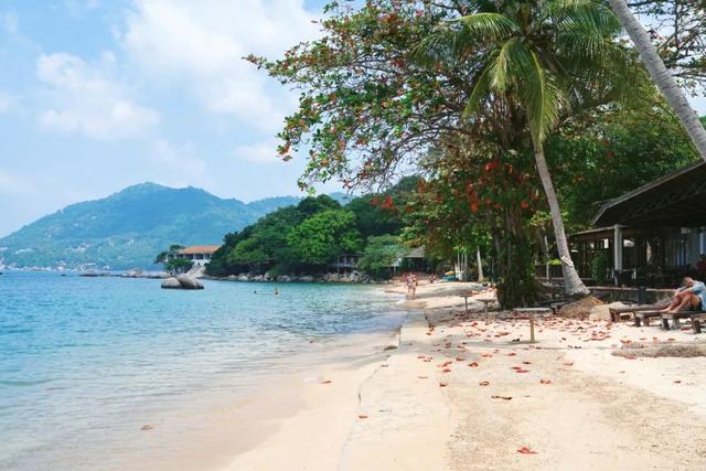 苏梅岛旅游攻略线路，苏梅岛旅游报价（我在这个小岛提早过起夏天了）