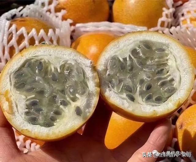passion fruit是什么水果（土豪百香果，一斤100元）