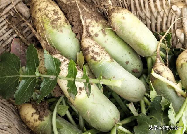 糖拌西红柿又叫什么，糖拌西红柿的别名叫什么（这5种蔬菜尽量少吃）