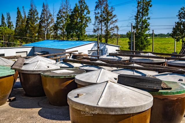 怎么去同里古镇，同里到同里古镇有多远（同里为何会跻身江南六大古镇之一）