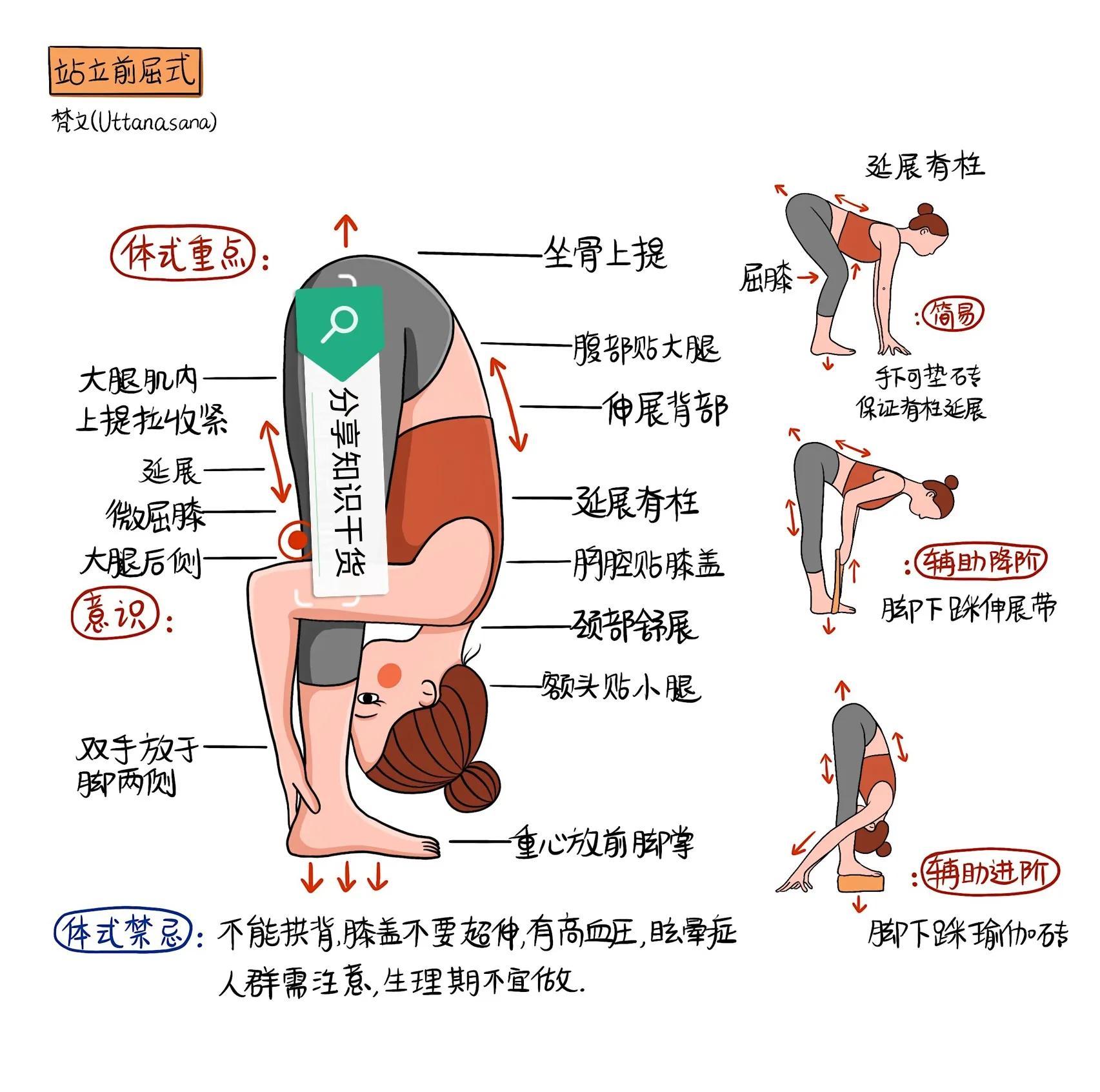 瑜伽四柱的正确做法图片