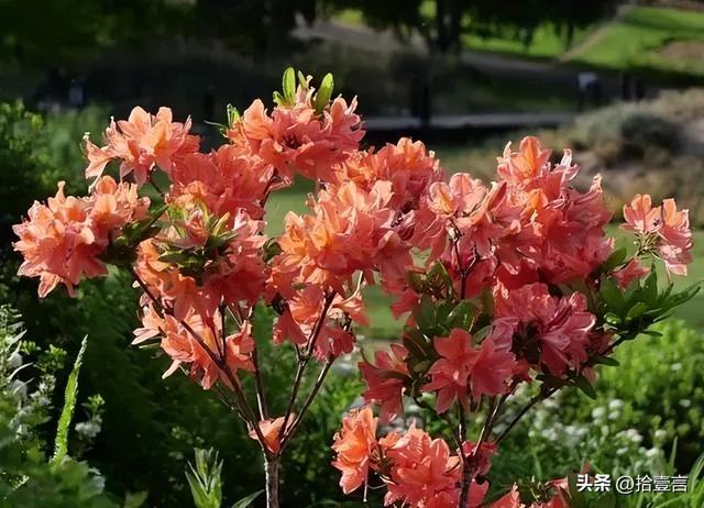 男孩子喜欢你的表现，男生喜欢你的种种表现（才会有的四个“反常”表现）