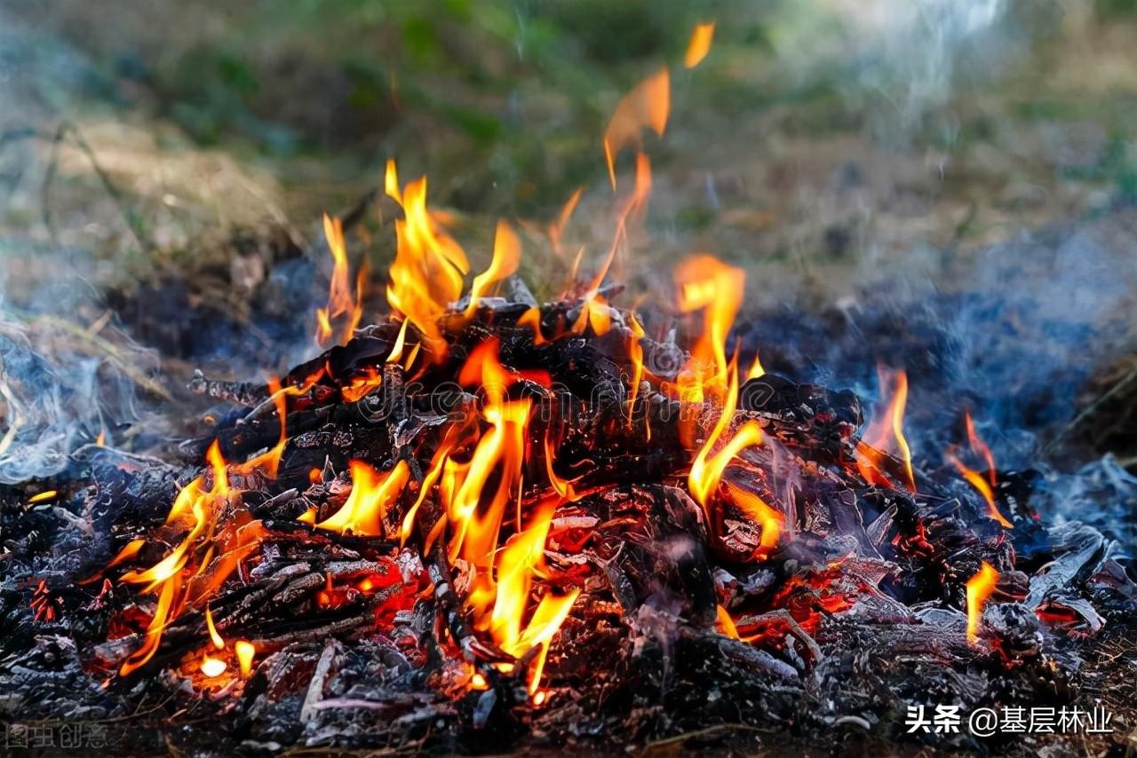 场地分析案例（清明将至）