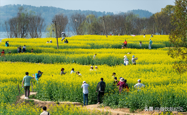 2013年立春时间，2012立春具体时间（迎春接福兔年大吉）