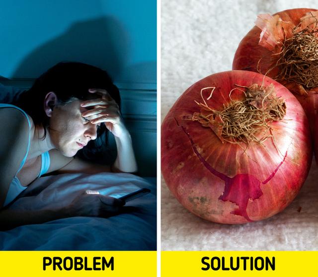 有趣的冷知识有哪些，有趣冷知识百科大全（10个有趣的冷知识）