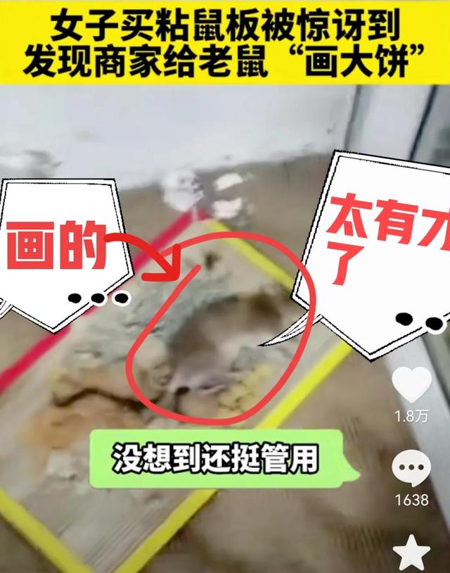 老鼠夹子怎么用，老鼠夹子怎么用图解（学会画画是多么的重要）