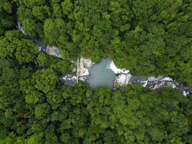 宜春旅游小众线路推荐，瀑布、古树群、峡谷漂流，嗨玩这个夏天