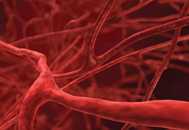 橄榄油的作用与功效，芦荟胶加橄榄油的作用与功效（专家新研究：每天半勺）