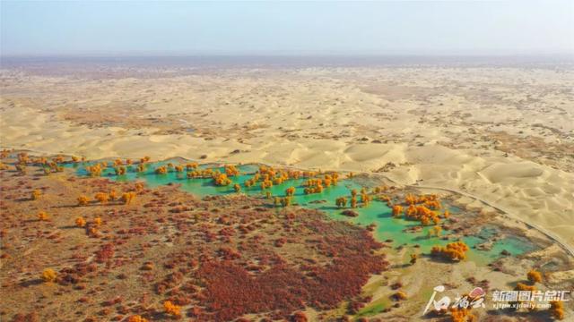 我国最长的河流是什么，世界最长河流排名前十（塔里木河到底有多重要）