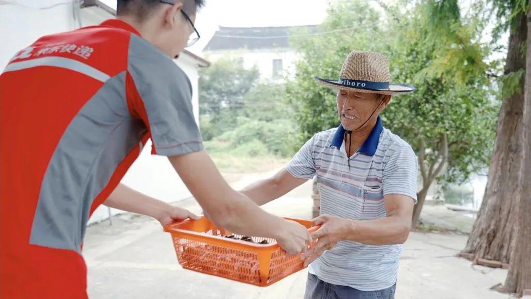 京东快递快不快(京东配送快还是顺丰快)