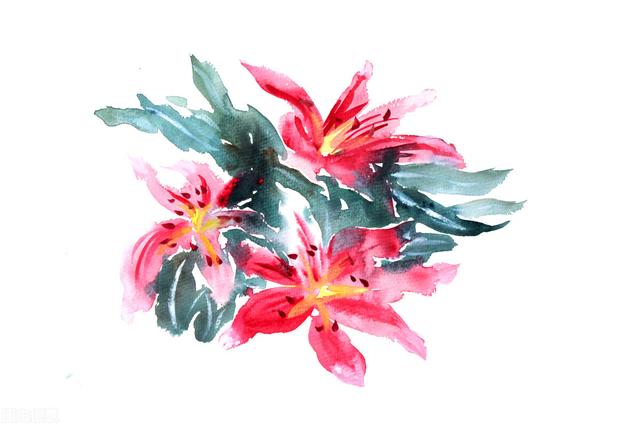 李白的长千行解释及原文，李白长歌行原文及翻译（一日一诗《长干行》赏析）
