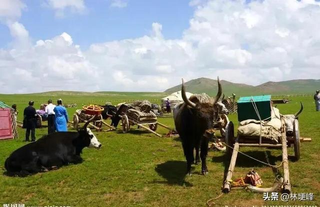 蒙古的天气情况，罪魁祸首是蒙古国吗