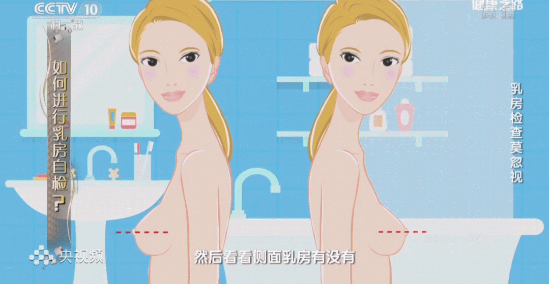 bra是什么，bra是什么尺码（这些胸部相关的小知识你一定要知道）