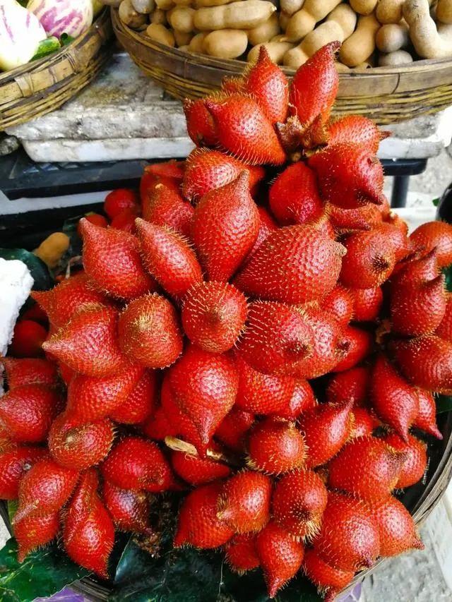 雪莲果图片，这13种水果因为名字被误解（雪莲果图片叶子图片）