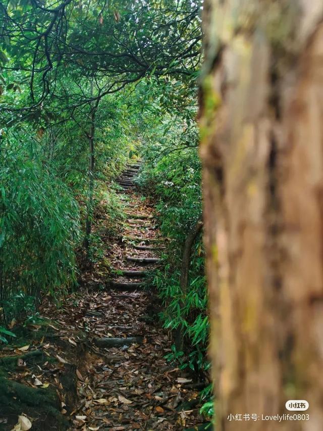 附近景区哪里好玩，宁波附近哪里好玩（大都1天打来回）