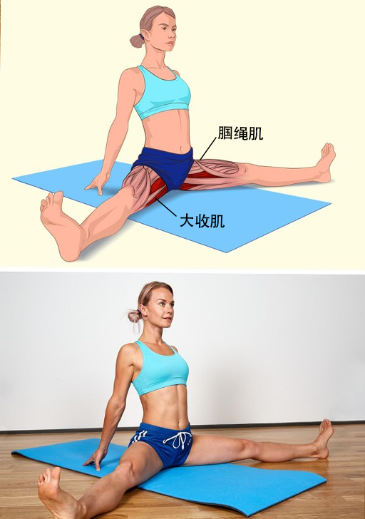 运动完不拉伸会怎样，健身完不拉伸有什么危害（助你学会拉伸，减肥事半功倍）