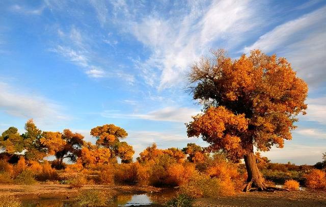 行酒令口诀经典，行酒令的口诀都包括哪些（西北六省的饮酒礼仪、习俗）