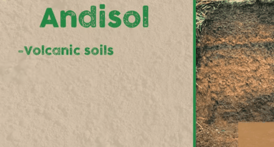 土地性质分类和用途，怎么查个人土地信息（附中国土壤的分类及分布）