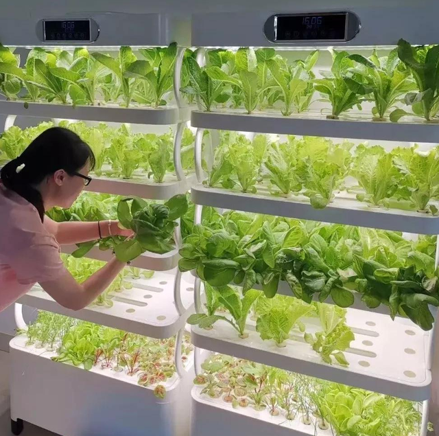 怎么做泥最简单成功，怎么做泥简单（农村1小哥塑料管自制自动灌溉系统）