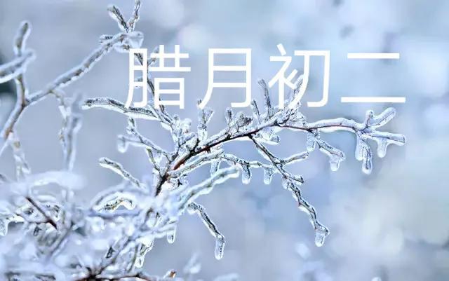 春节预计冷不冷，春节期间冷不冷（大范围大暴雪断崖式降温）