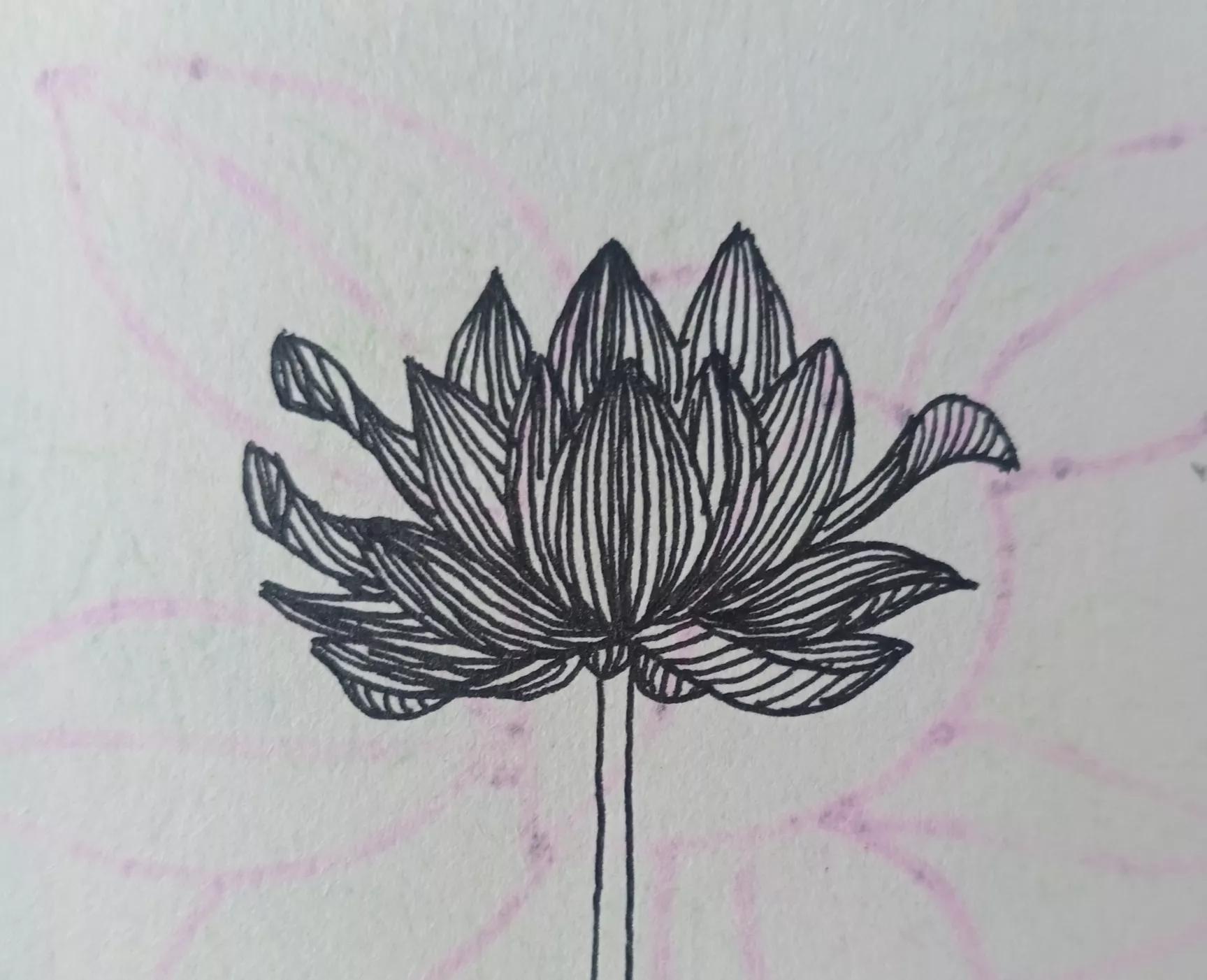 花瓶怎么画好看又简单，怎么画花瓶简笔画（多步骤详细解说线描画《花瓶和花》的画法）