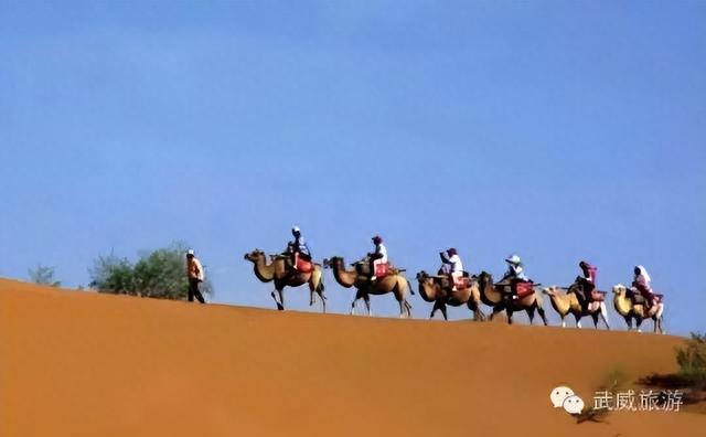 露营烧烤、古堡探秘！武威沙漠公园，太适合网红打卡了！