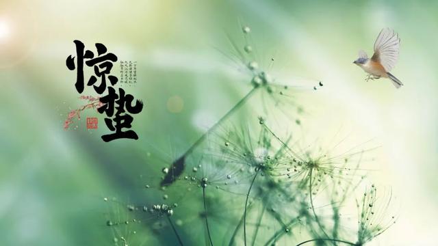 拂能组什么词语惭能组什么词语，拂能组啥词儿（10首最美惊蛰诗词）