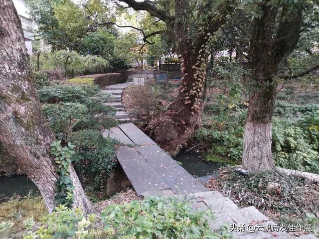 欲成欢类似小说（张建萍 卷）