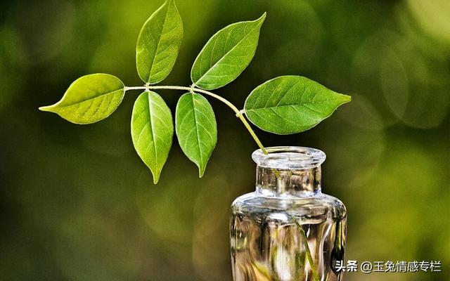 男人没放下前妻的表现，没放下前妻的表现（男人能忍多久不联系前妻）