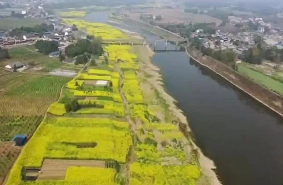 农业投资项目(特色农业种植项目介绍)