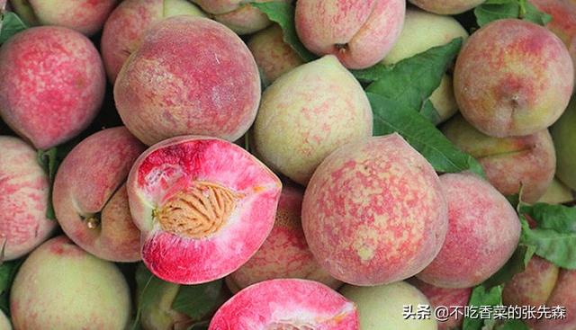 扫墓带什么祭品，扫墓需要准备什么东西（牢记水果“5带4不带”）