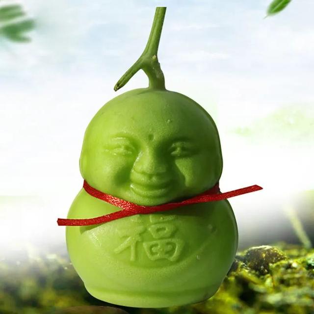 雪莲果图片，这13种水果因为名字被误解（雪莲果图片叶子图片）