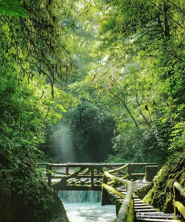 成都旅游必去十个景点，游成都必去的20个地方