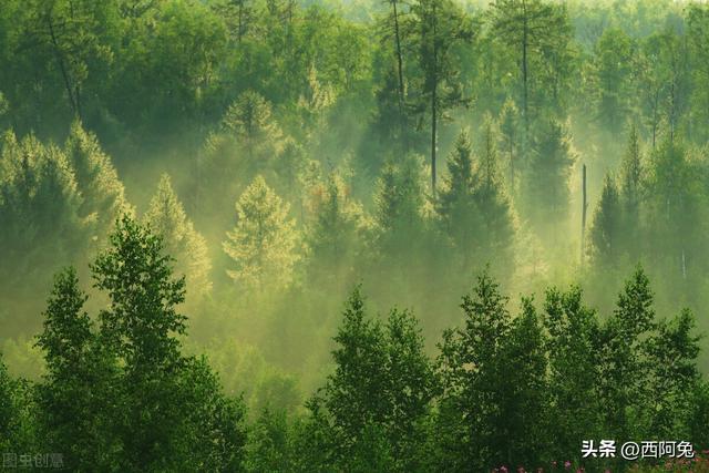 水瓶座和双子座，水瓶座配对双子座（双子座、天秤座和水瓶座的聪明大不同）