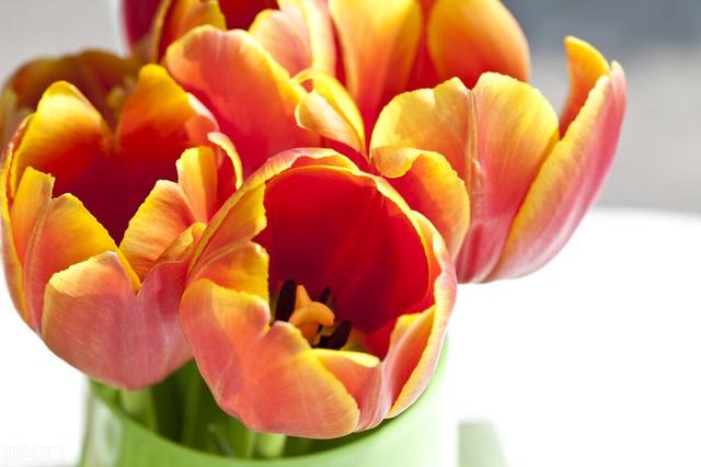 试问苍天饶过谁的上一句，苍天饶过谁的前一句是啥（心怀善念，福气相伴）