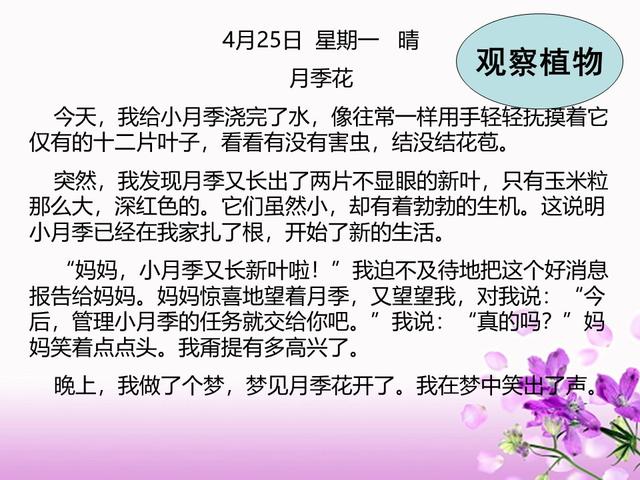 日记格式怎么写，日记格式怎么写 作文本（小学生写日记的格式+技巧+10篇范文整理）