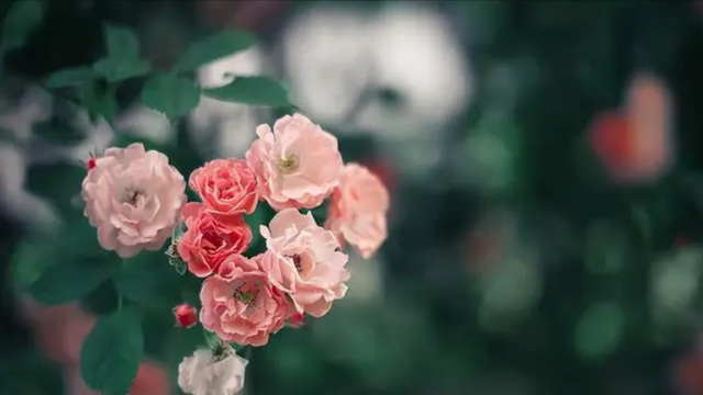 男人失去了情人会难受吗，男人失去情人也会失落吧（失去一个深爱过的人）